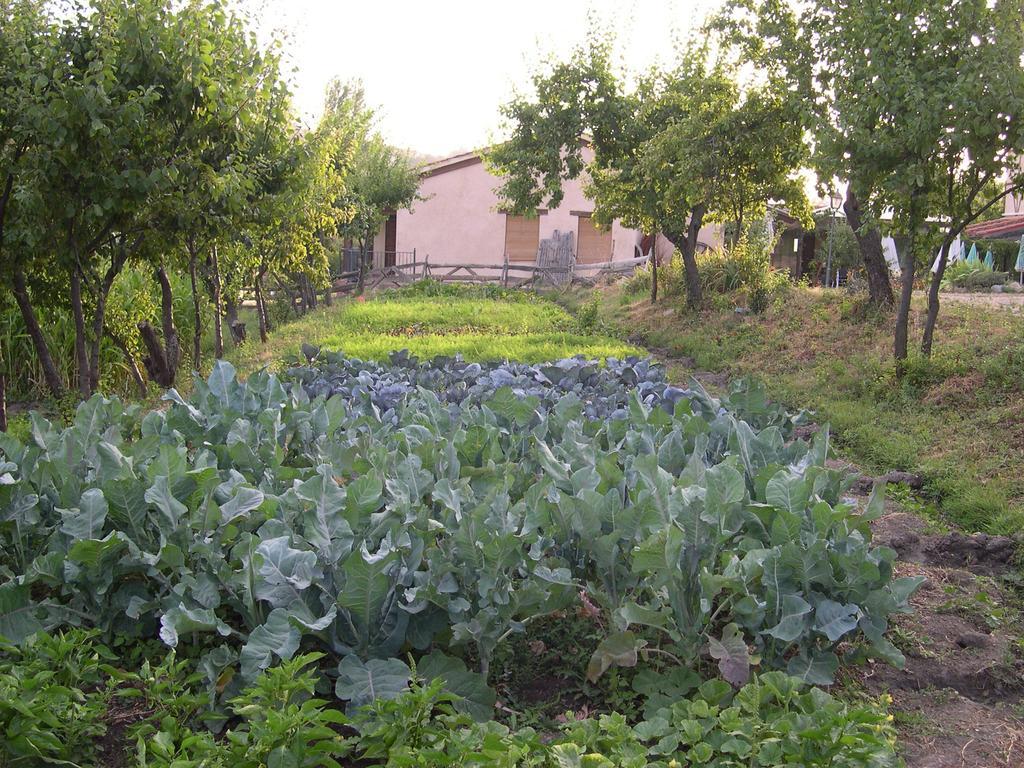 La Huerta De San Lorenzo Hotell Segovia Exteriör bild